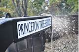 Princeton Tree Service Images