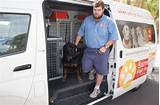 Images of Free Pet Transport Services