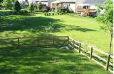 Fencing Backyard For Dogs Images