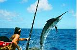 Best Time To Fish In Costa Rica Photos