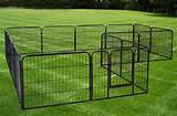 Cheap Electric Fence For Dogs Photos