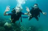 Dive Trip Insurance Images