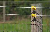 Electric Fence Joules For Cattle Pictures