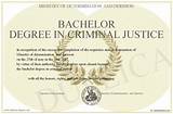 Online Criminal Justice Bachelor Degree