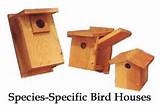 Birdhouse Building Supplies Pictures