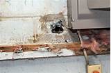 Images of Repair Pvc Pipe Underground