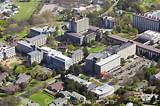 Photos of University Jobs New Zealand