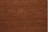 What Is Mahogany Wood Pictures