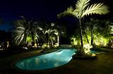 Landscape Lighting Palm Trees Pictures