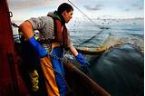 Images of Commercial Fishing Salary