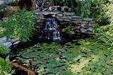 Images of Le Ington Ky Botanical Gardens