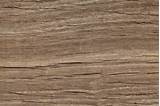 Free Wood Texture Pictures