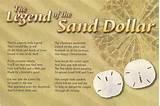 Photos of Sand Dollar Story Of Jesus