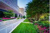 Commercial Landscaping Maintenance Images