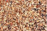 Photos of Wood Chips Or Mulch