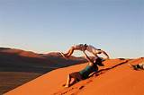 Images of Namibia Holiday Packages From South Africa