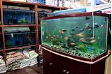 Photos of Fish Places Near Me