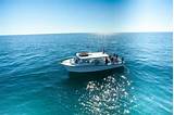 Deep Sea Fishing Charters In Naples Florida Photos