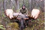 Hunting Outfitters In Alaska Images