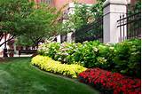 Photos of Commercial Landscaping Maintenance
