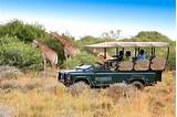Images of Family Safari Packages