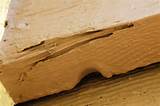 Signs Of Termite Damage In Home Images