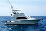 Sport Fishing Boat For Sale Pictures