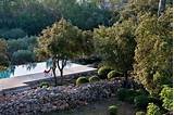 Pictures of Mediterranean Pool Landscaping