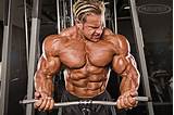 Muscle Workouts Bodybuilding
