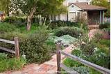 Drought Resistant Front Yard Landscaping Images