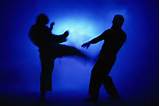 About Martial Arts Images