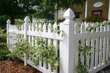 Images of Picket Fence Slats