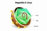 Images of Latest Treatment For Hepatitis B Virus