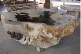 Petrified Wood Table For Sale