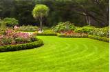 Photos of Lawn Care And Landscaping
