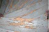 Long Term Termite Damage Pictures