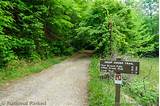 Photos of Hiking Trails In The Great Smoky Mountains
