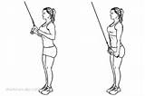 Photos of Exercises Rope Pushdown