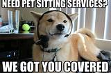 What Can You Ask About A Service Animal