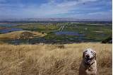 Images of Hikes For Dogs