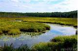 Where Can Wetlands Be Found Images