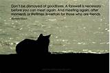 Inspirational Quotes About Losing A Pet