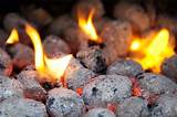 Images of Gas Grill Charcoal Briquettes