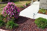 Photos of Red Lava Rock Landscaping