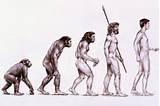 Images of Theory Evolution Of Man