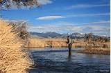 Fly Fishing Montana Images
