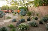 Pictures of Desert Gardens Storage