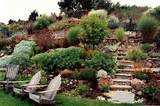 Backyard Landscaping Hill Images