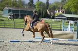 Pictures of Horse Training Exercises