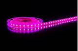 Photos of Purple Led Strips